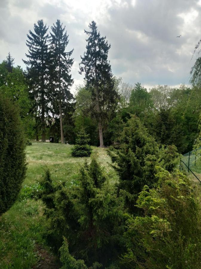 Apartament Na Gorce Łagów Екстериор снимка